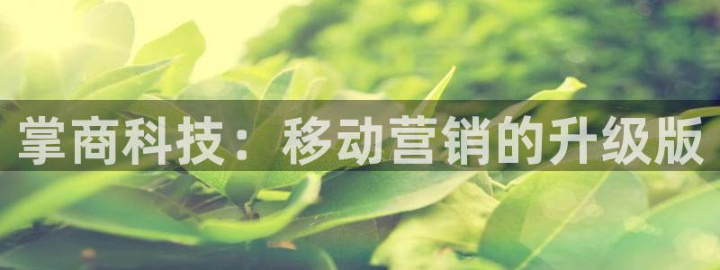 金年会vip888