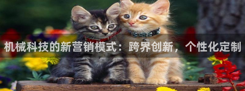 金年会网站入口
