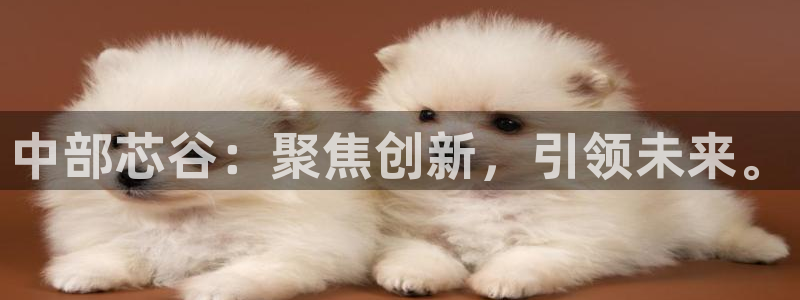 金年会体育综合App