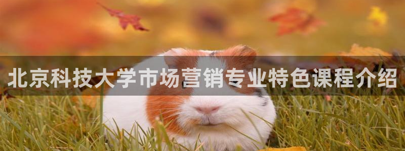 金年会体育app最新官网下载苹果