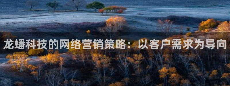 金年会体育app平台怎么样
