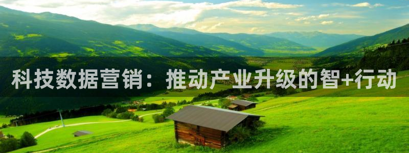 金年会体育app最新官网下载安装