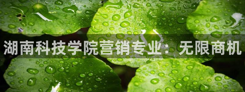 金年会体育平台注册