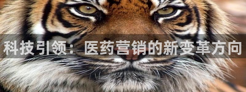 金年会体育官方平台