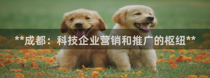金年会ios下载
