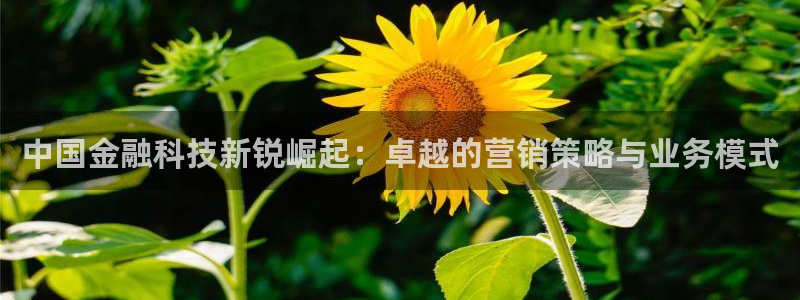 金年会体育苹果下载