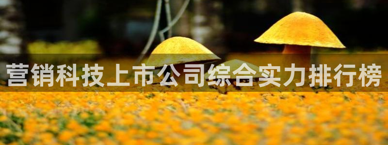 金年会金字招牌是什么意思