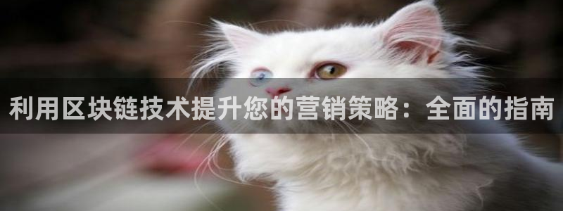 金年会网站入口官网