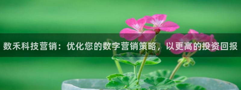 金年会体育app下载安装