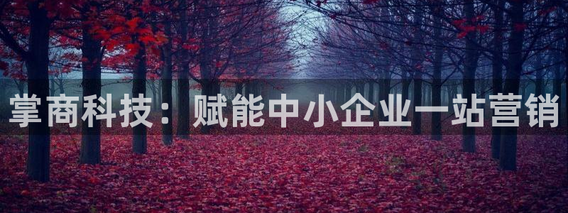 金年会官方进入2023