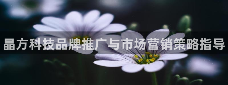 金年会官方体育登陆入口