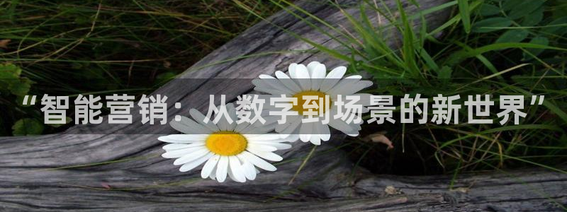 金年会体育官方平台