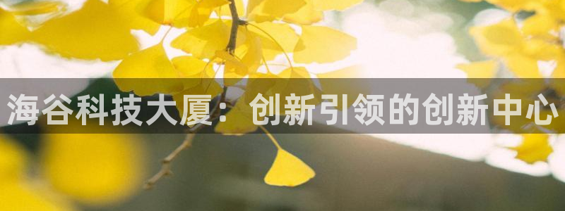 金年会平台官网下载