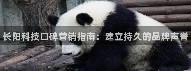 金年会体育入口