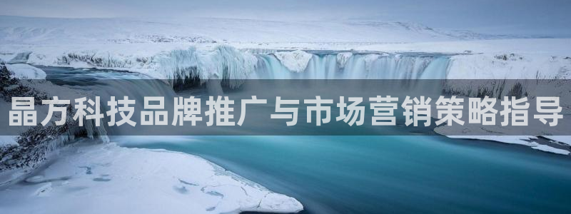 金年会电子游戏—2023全球木材与木制品大会