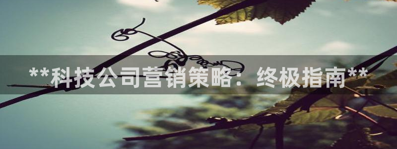 金年会入口登录