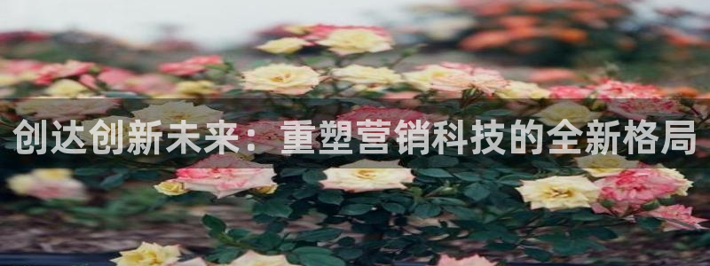 金年会平台官网下载