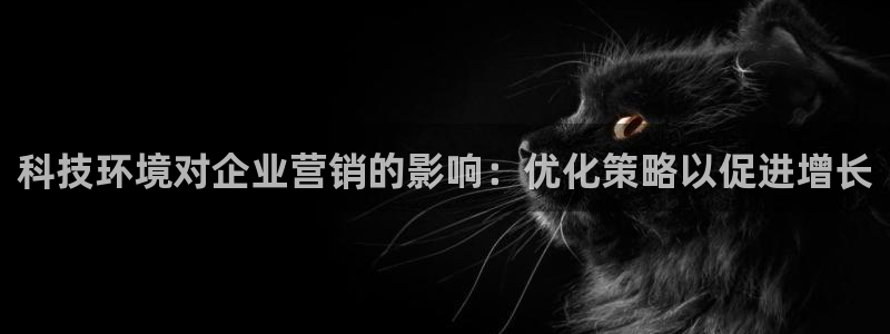 金年会电子官网下载