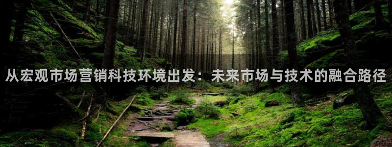 金年会体育平台官网下载app