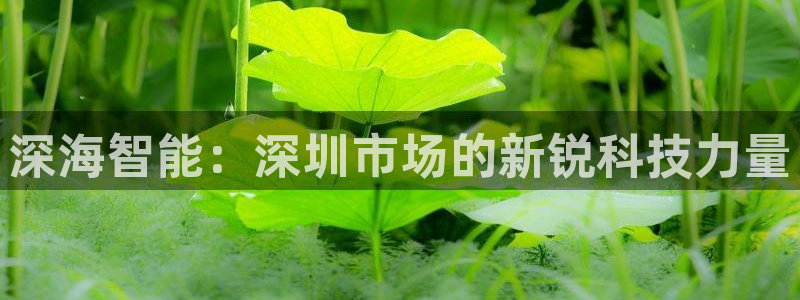 金年会金字招牌信誉至上是黑平台吗