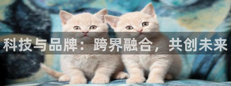 金年会官方入口APP