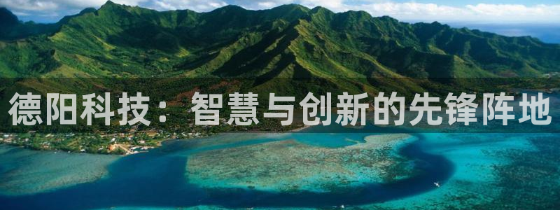 金年会网址导航