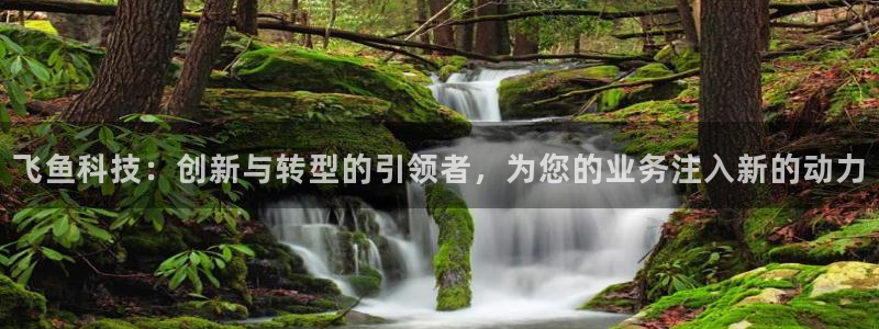 金年会官方网站登录网址是什么