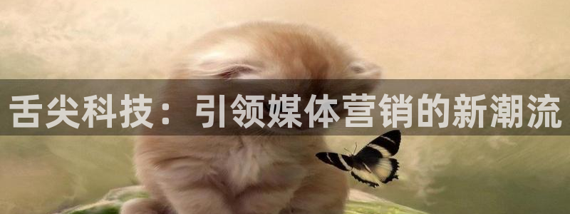 金年会体育网址登录