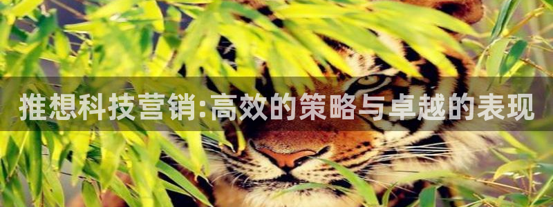 金年会金字招牌网址
