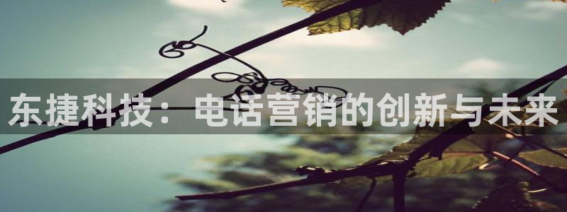 金年会网登录平台入口