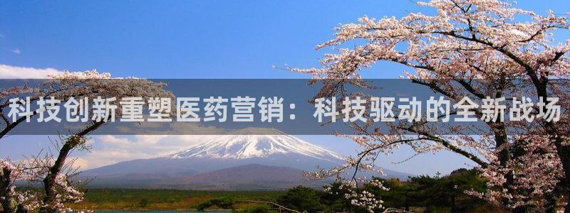 金年会是什么平台