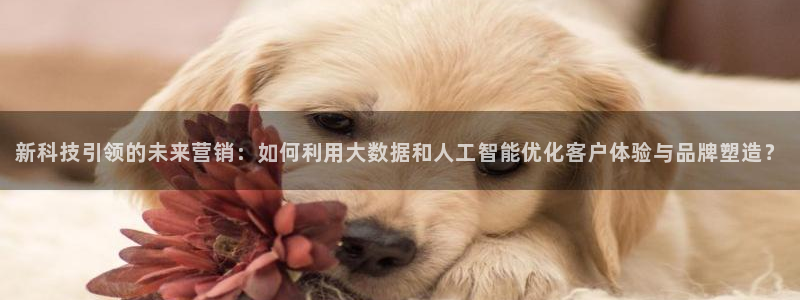 金年会app官方网站下载