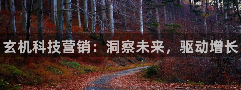 金年会体育官网登录入口网址