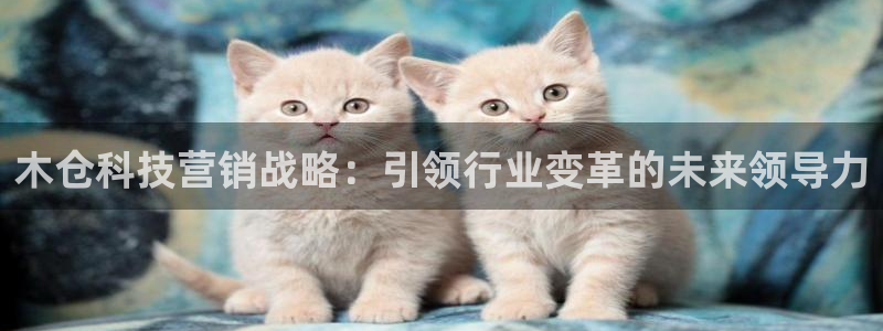 金年会是什么平台