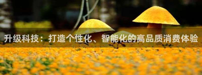 金年会体育手机app下载官网苹果