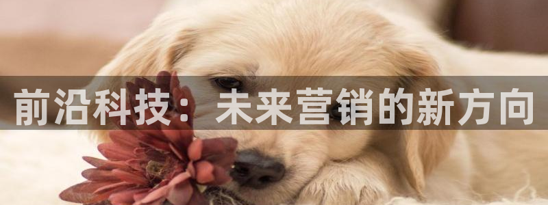 金年会体育app官网86