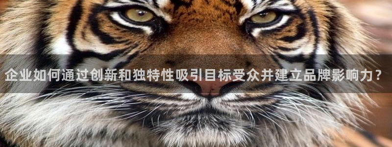 金年会体育如何