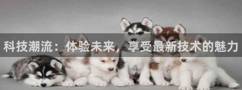 金年会金字招牌至上