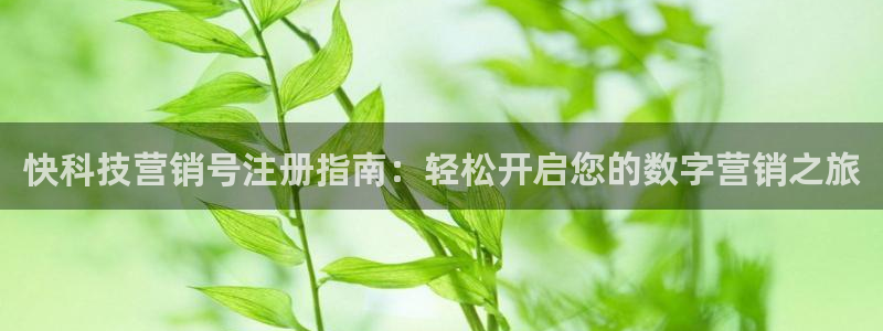金年会网站提现一直显示审核当中怎么办