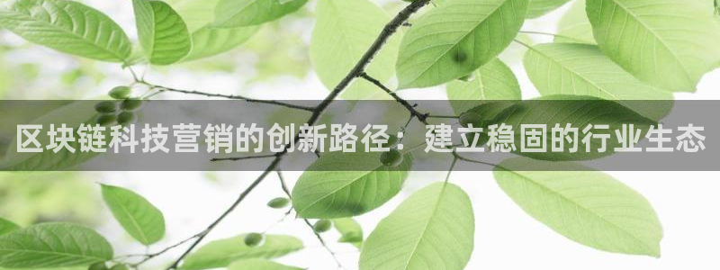 金年会是正规平台吗