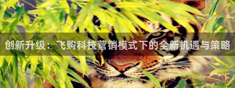 金年会体育一直输：创