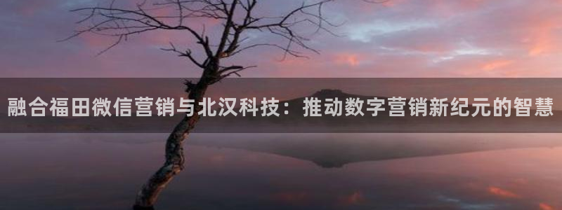 金年会黑平台不给出款