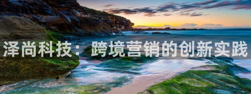 金年会网站入口官网：