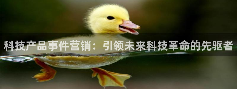 金年会体育官方入口