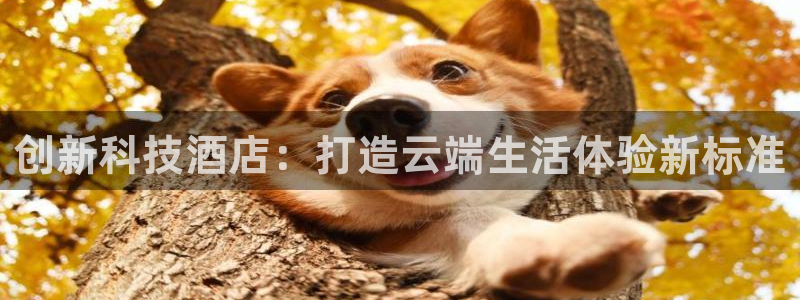 金年会官方在线入口网站2023