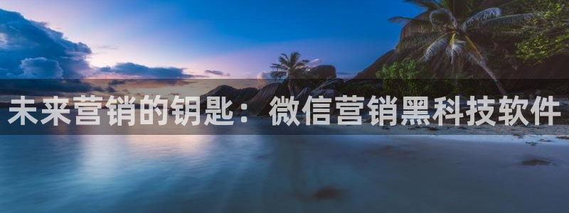 金年会网赌靠普吗