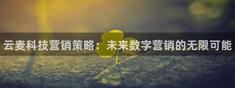 金年会电子游戏app官方入口网站