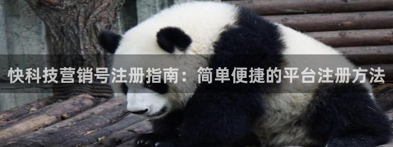 金年会官方入口网站下载