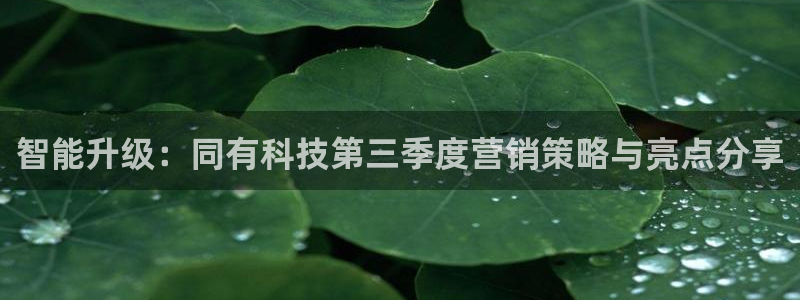 金年会网址导航在线播放