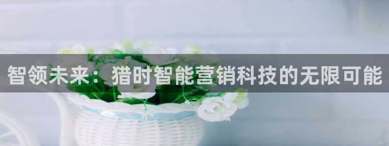 金年会金字招牌诚信至上龙年